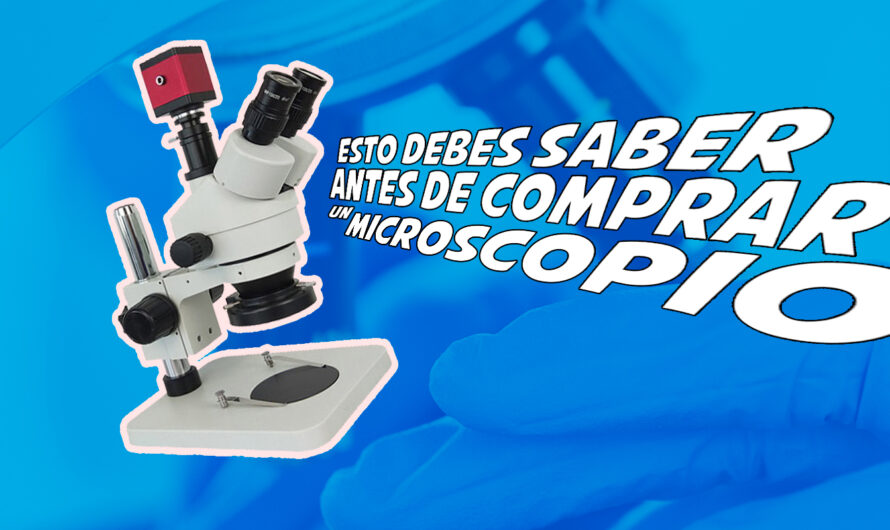 Comprar un microscopio: esto es lo que debes saber y tener en cuenta
