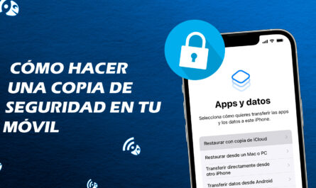 ¿Cómo hacer una copia de seguridad del móvil?