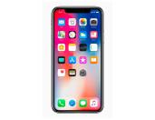 IC Chip iPhone X