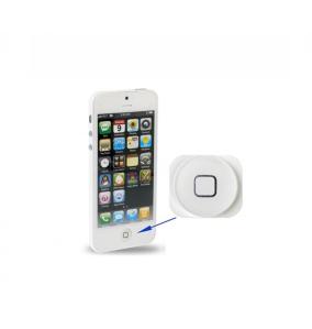 Botón home para iPhone 5 blanco