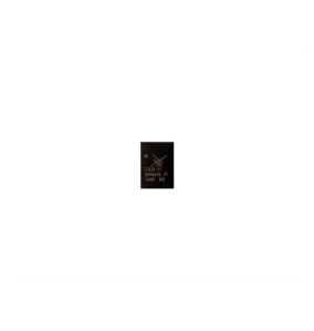 Chip IC Sky 77632-11 Power Amplifier for Smartphone and Tablet