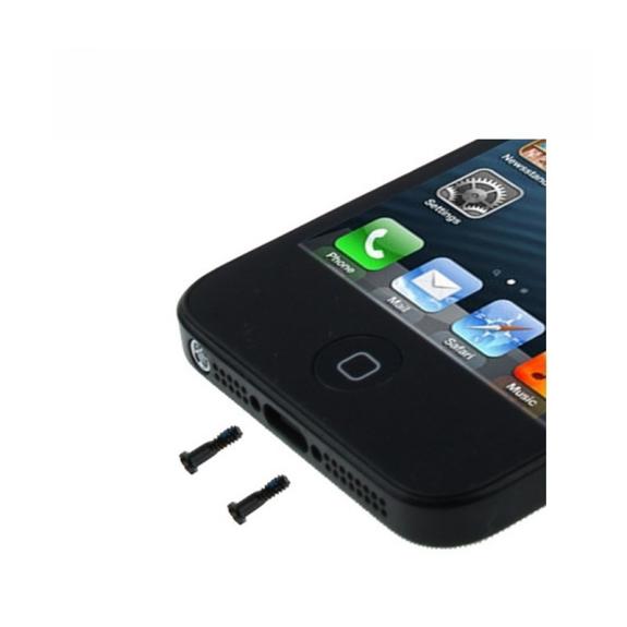 Tornillos pentalobulares para iPhone 5 / 5s