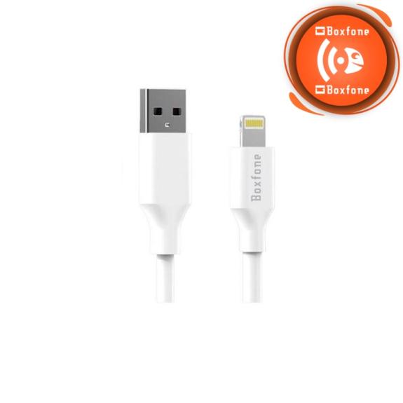 Cable de carga rápida Lightning | USB para iPhone (1metro)