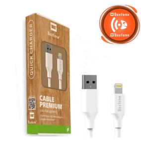 Cable de carga rápida Lightning | USB para iPhone (1metro)