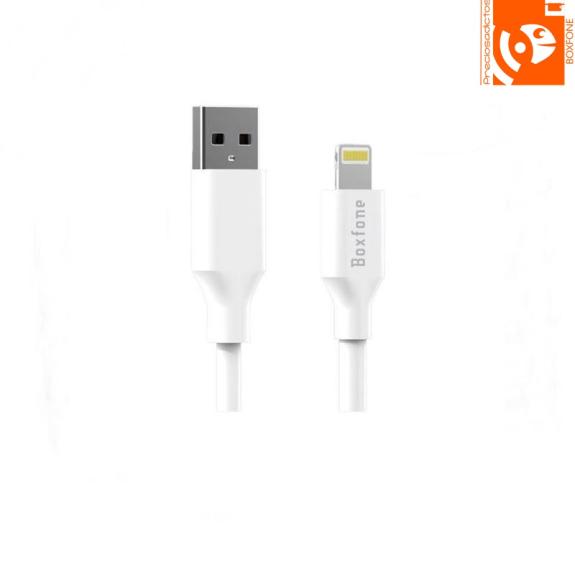 Cable de carga rápida Lightning - USB para iPhone (1metro)