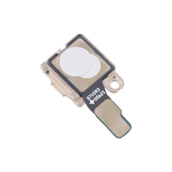 Cámara Trasera Para Samsung Galaxy Z Flip7