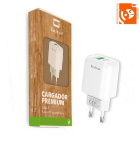 Cargador de red con puerto USB