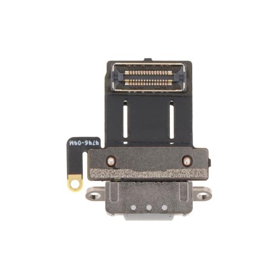 Flex Conector de Carga Para Ipad Pro 11 2024 en color plateado