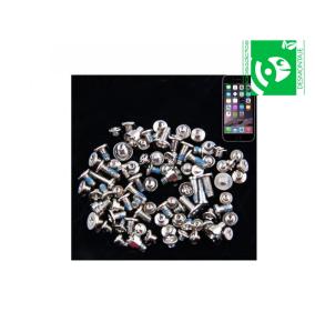 Screw pack for iPhone 6