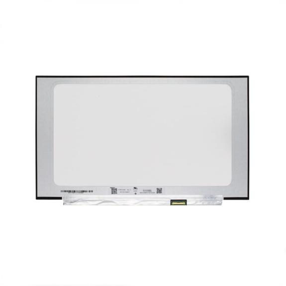 Pantalla de 15.6" Para Portatil B156HTN06.2 FHD Brillo