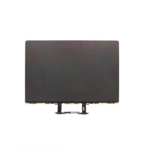 Pantalla Para Apple MacBook Pro 16 2019 Sin Marco (A2141)