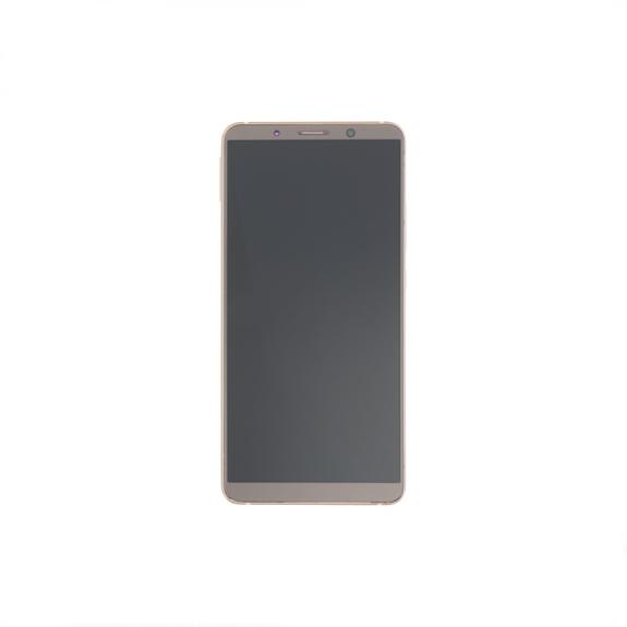 Pantalla para Huawei Mate 10 Pro con marco marron (OLED)