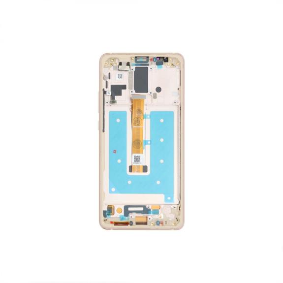 Pantalla para Huawei Mate 10 Pro con marco marron (OLED)