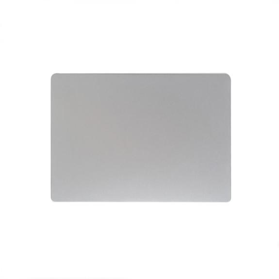 Pantalla Para MacBook Pro 14 2021 Plateado (A2442)