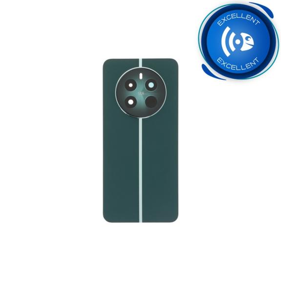 Tapa trasera para Realme 12+ Pioneer Green EXCELLENT